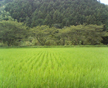 f0036223_13225141.jpg