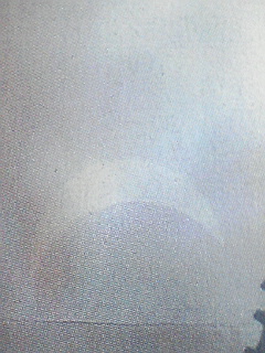 f0050523_18221736.jpg