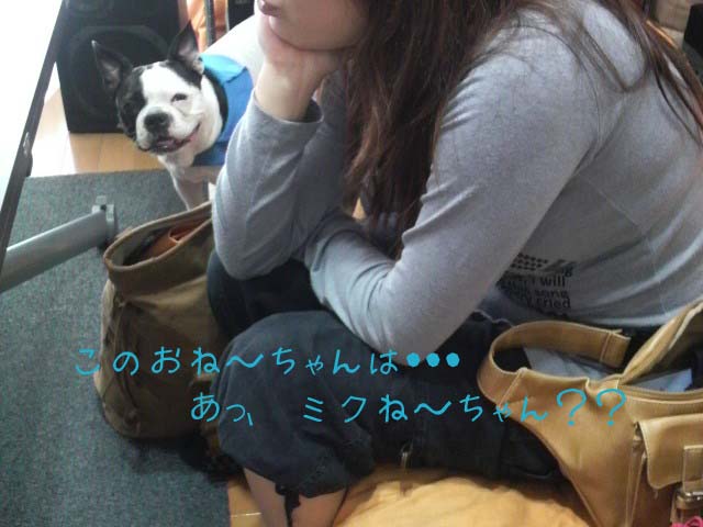 f0190426_1738723.jpg