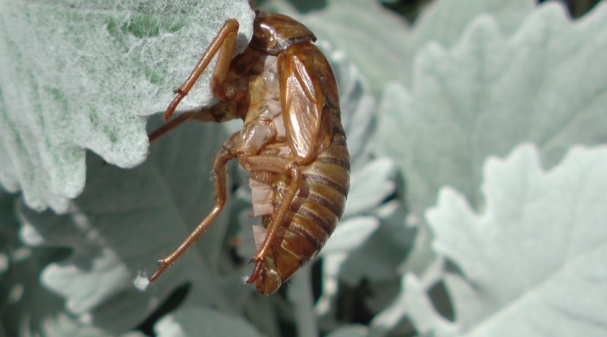 e0016828_1231787.jpg