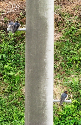 e0142628_15375367.jpg