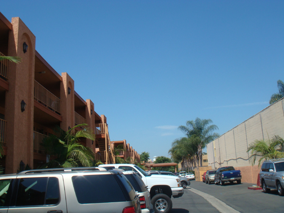 d0089530_317366.jpg