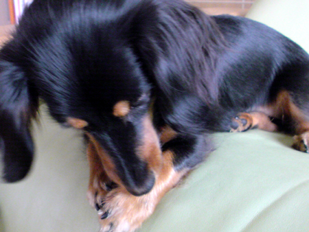 c0117831_2234449.jpg