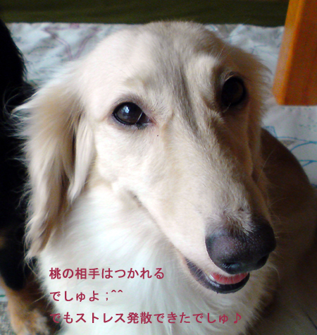 c0117831_2283994.jpg