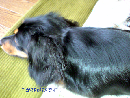 c0117831_2293957.jpg