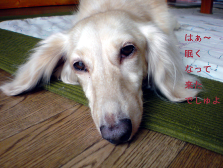 c0117831_229515.jpg