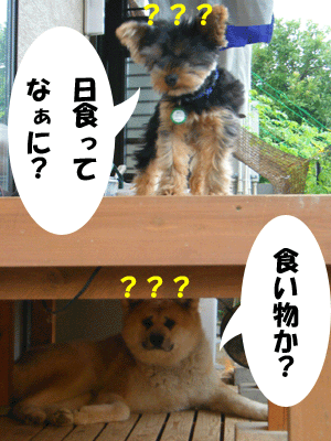 f0008935_14234270.gif