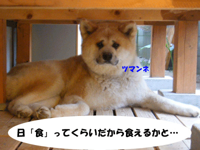 f0008935_14252440.gif