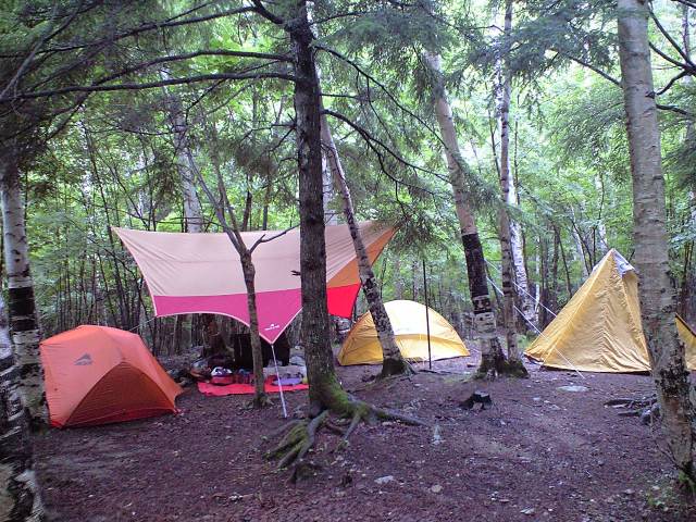 d0107938_12341851.jpg