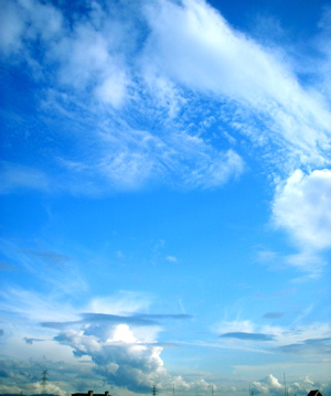 b0168139_23323230.jpg