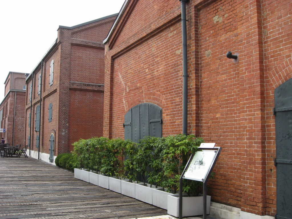 d0067640_22231630.jpg