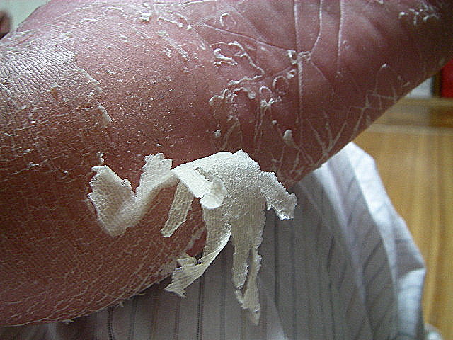 f0053342_2062977.jpg