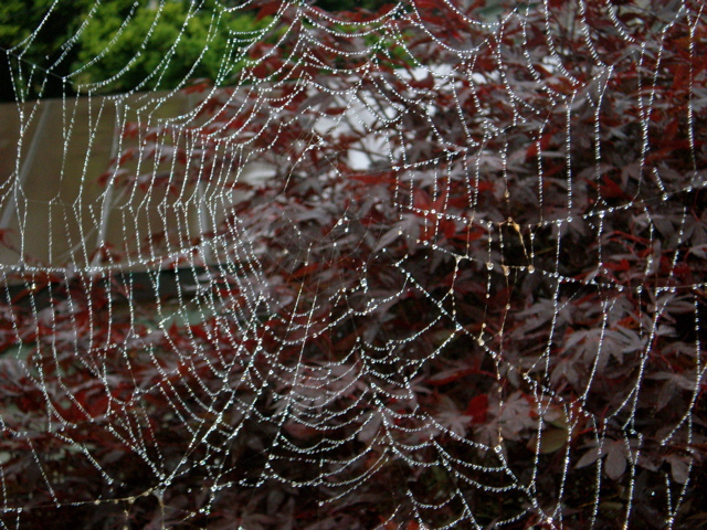 c0153444_7102155.jpg
