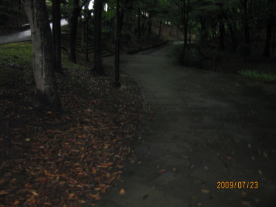 e0121548_21362142.jpg