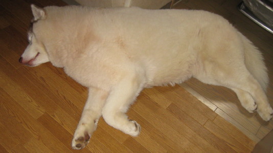 e0121548_2146124.jpg