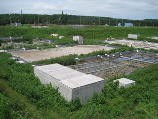 d0081650_18404859.jpg