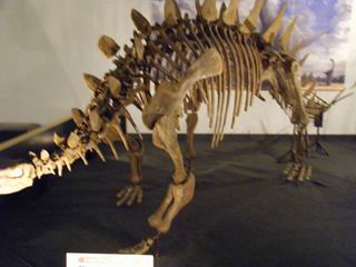 c0178855_1634018.jpg