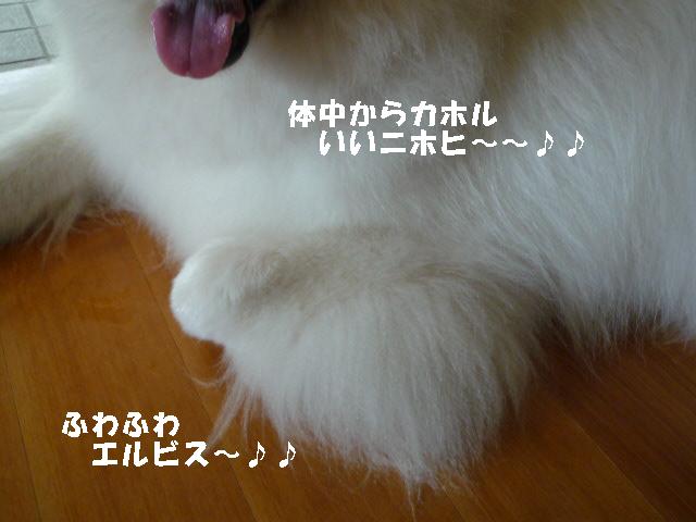 e0176159_11374414.jpg