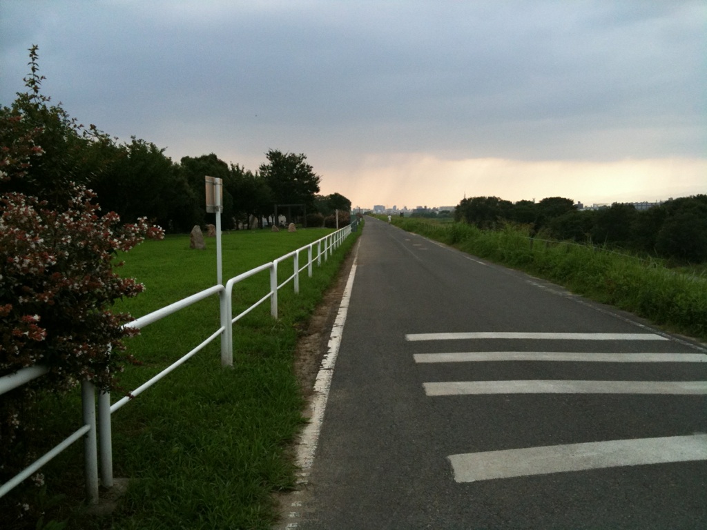 d0087062_205686.jpg
