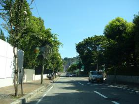f0180166_1844518.jpg