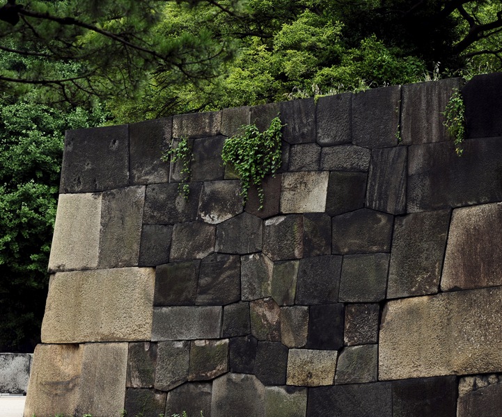 b0131167_10135191.jpg