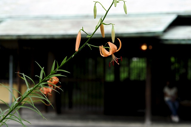 b0131167_1024122.jpg