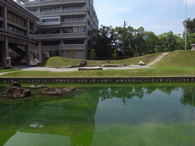 c0166668_95367.jpg