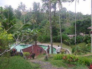 d0083068_912655.jpg