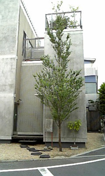b0170472_2021453.jpg