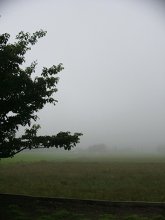 e0172372_2241482.jpg