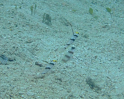 b0033573_20483486.jpg
