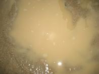 f0103873_22351268.jpg