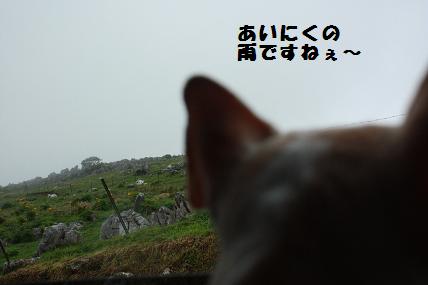 c0174077_10483352.jpg