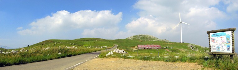 c0174077_10491387.jpg
