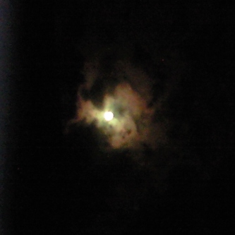a0091680_15415588.jpg