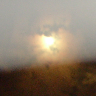a0091680_1542815.jpg
