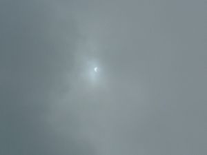 a0123990_591321.jpg
