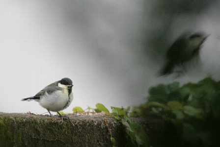 d0133693_204025.jpg