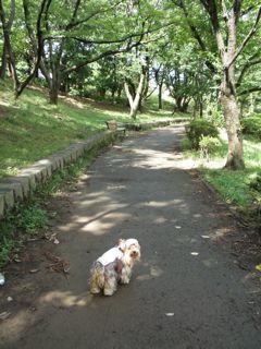 f0130894_2144968.jpg