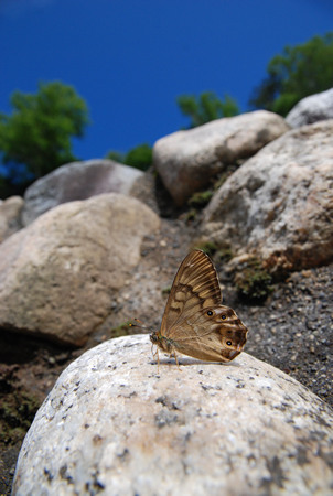 c0049095_2325266.jpg