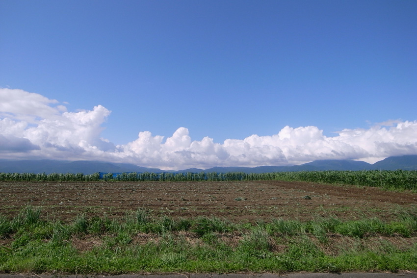 f0108399_2044311.jpg