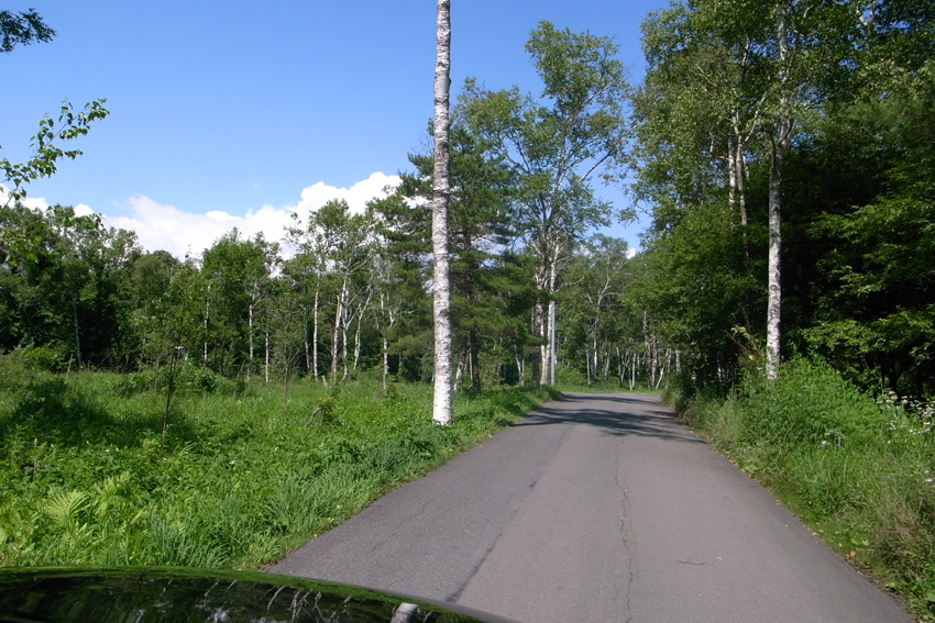 f0108399_2048472.jpg