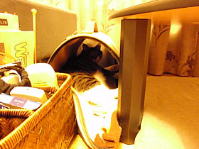 c0035001_1521848.jpg