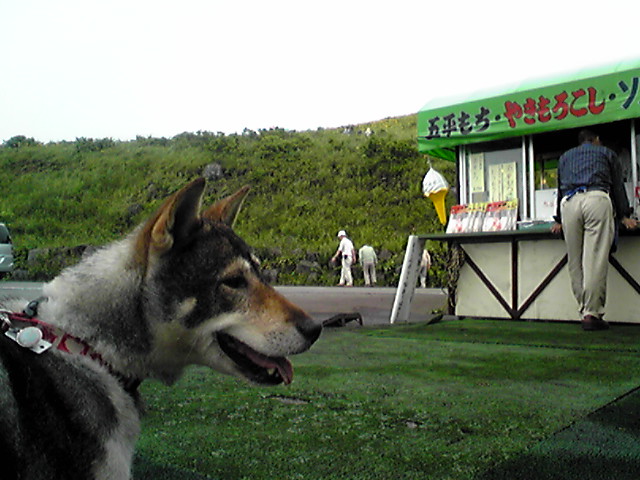 f0079202_2146681.jpg