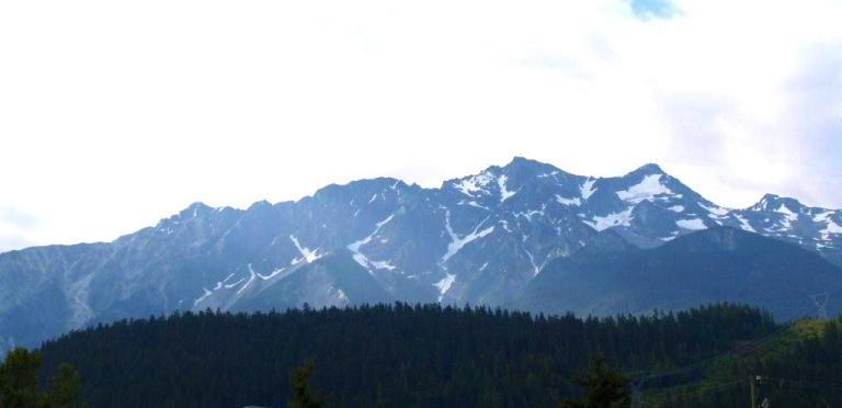 c0195804_1362375.jpg