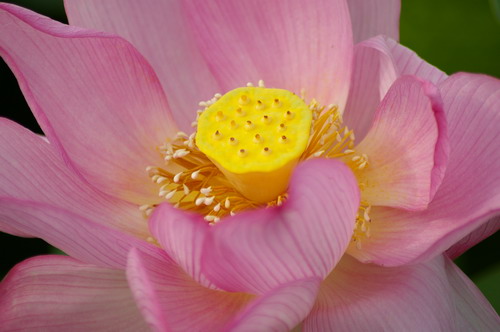 b0052108_874277.jpg