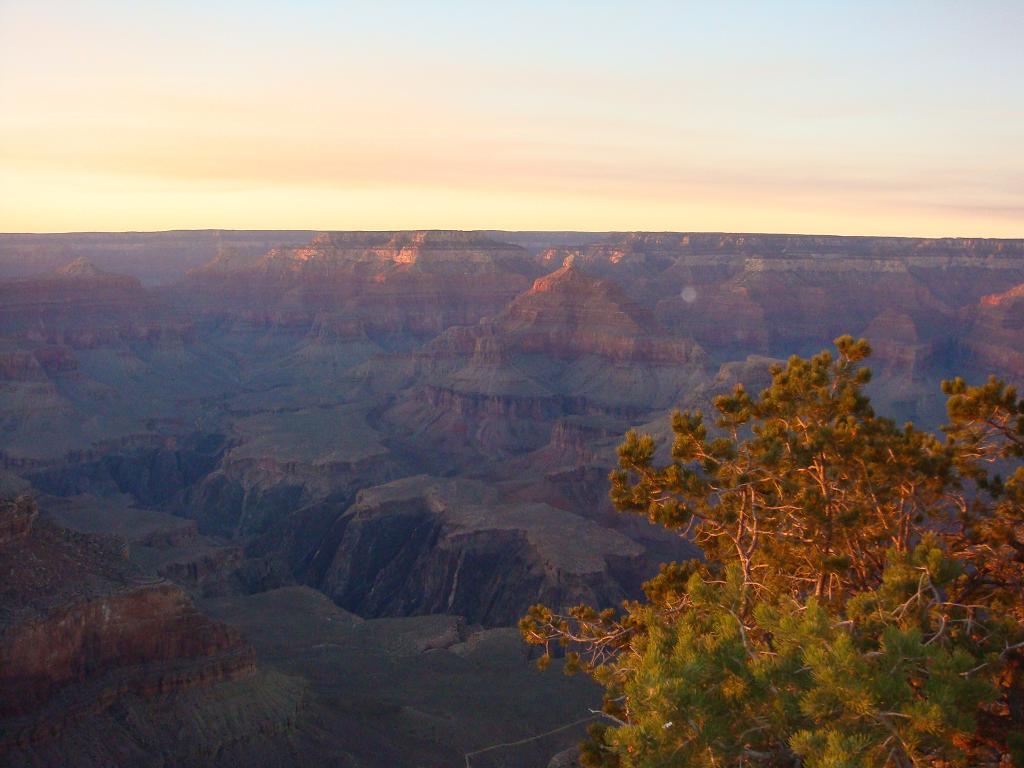 e0181908_811135.jpg