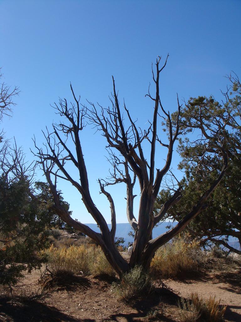 e0181908_8224100.jpg