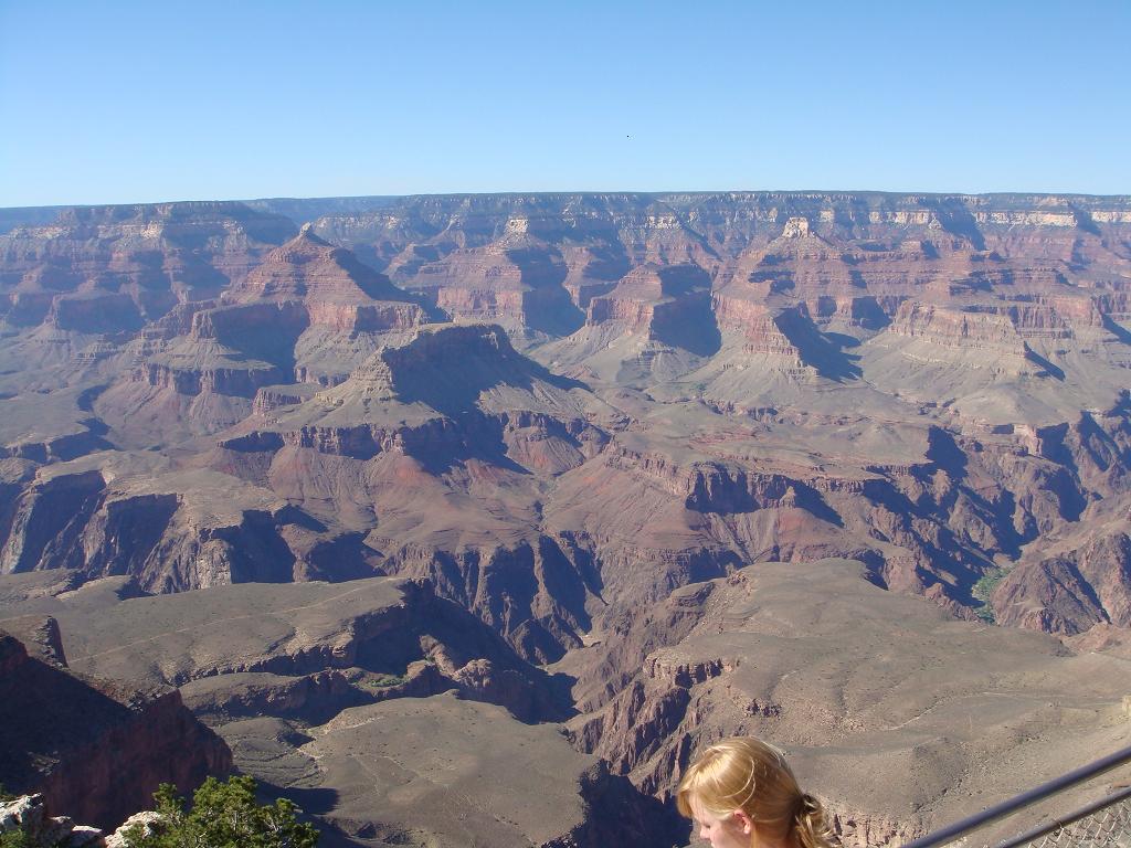 e0181908_831454.jpg
