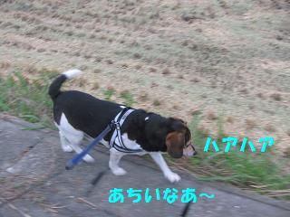 d0104209_20405580.jpg